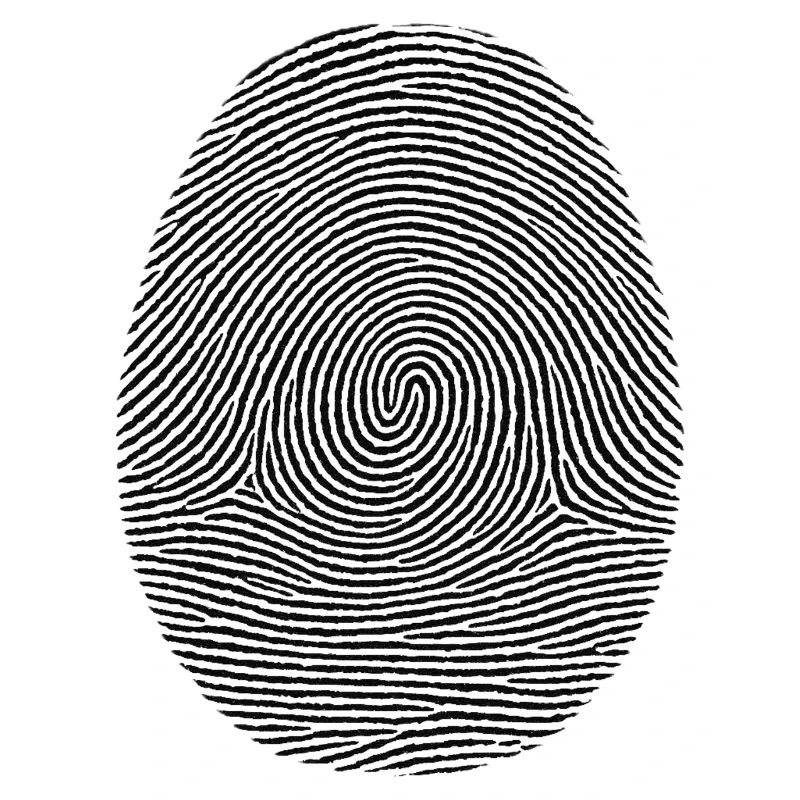 Fingerprint Pattern Noir