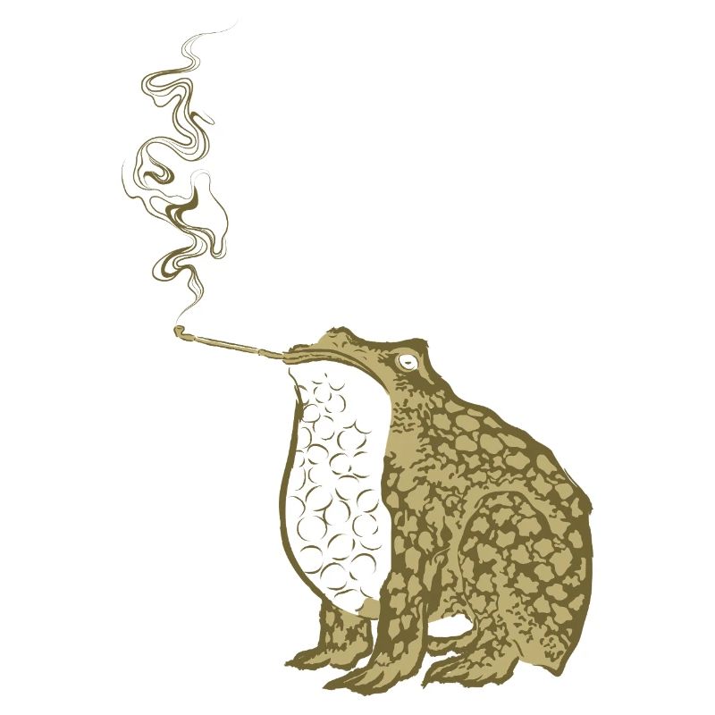 Funky Japanese frog smoking