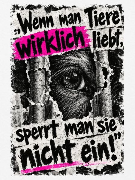 Tiere nicht einsperren
