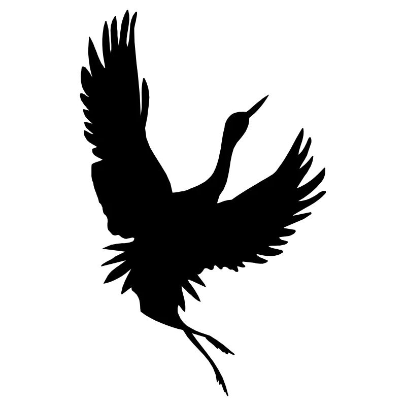 Crane shadow figure