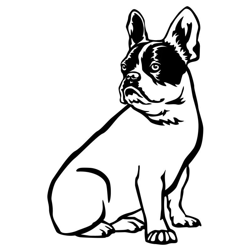 French Bulldog