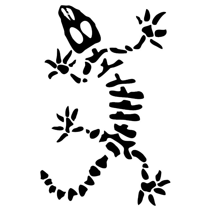 Gecko Skeleton: Lizard, Reptile & Bones