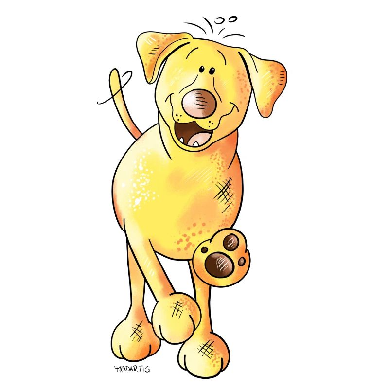 Funny Labrador