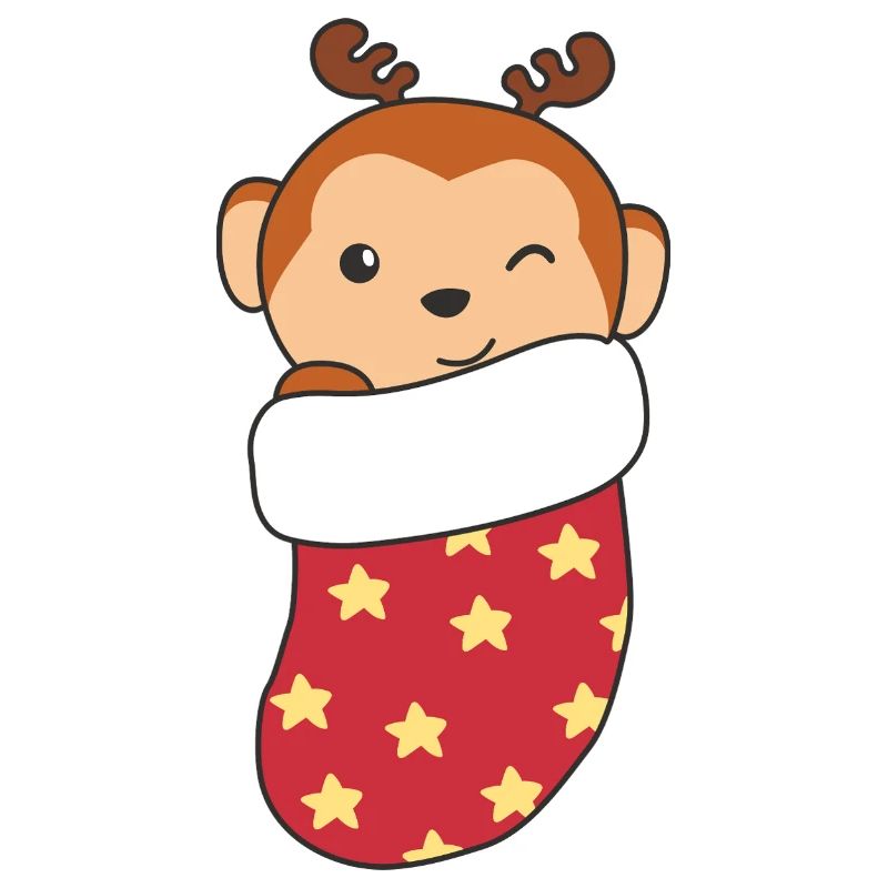 Cute monkey in Christmas sock for Christmas monkey