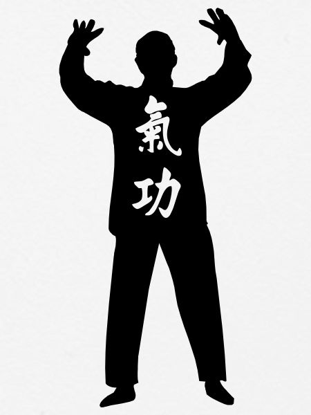 Kung Fu Qi Gong