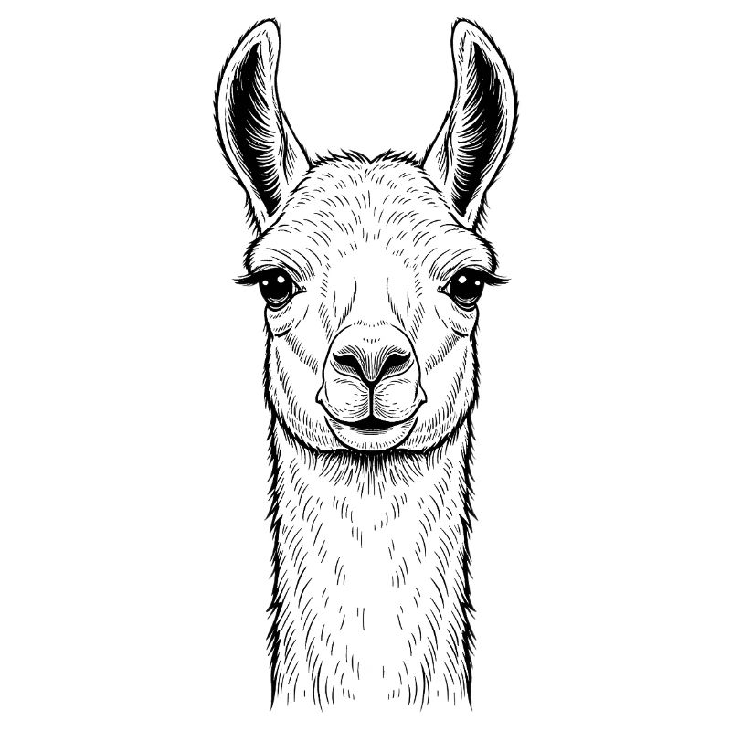 lama