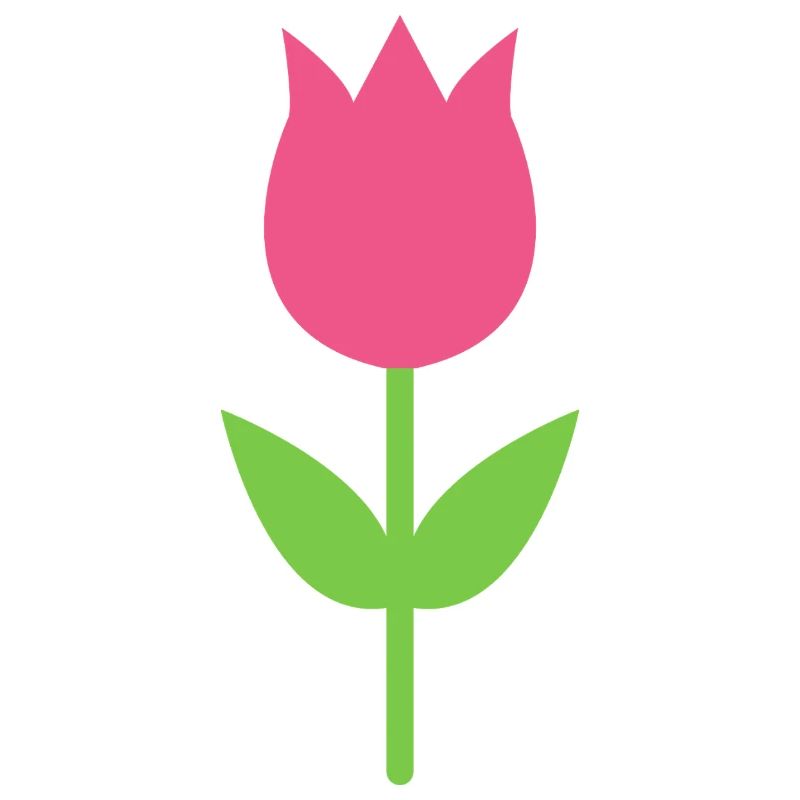 Tulip