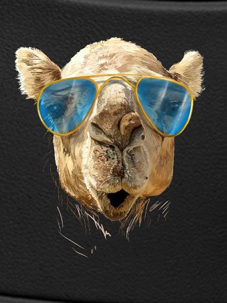 Kamel mit Sonnenbrille