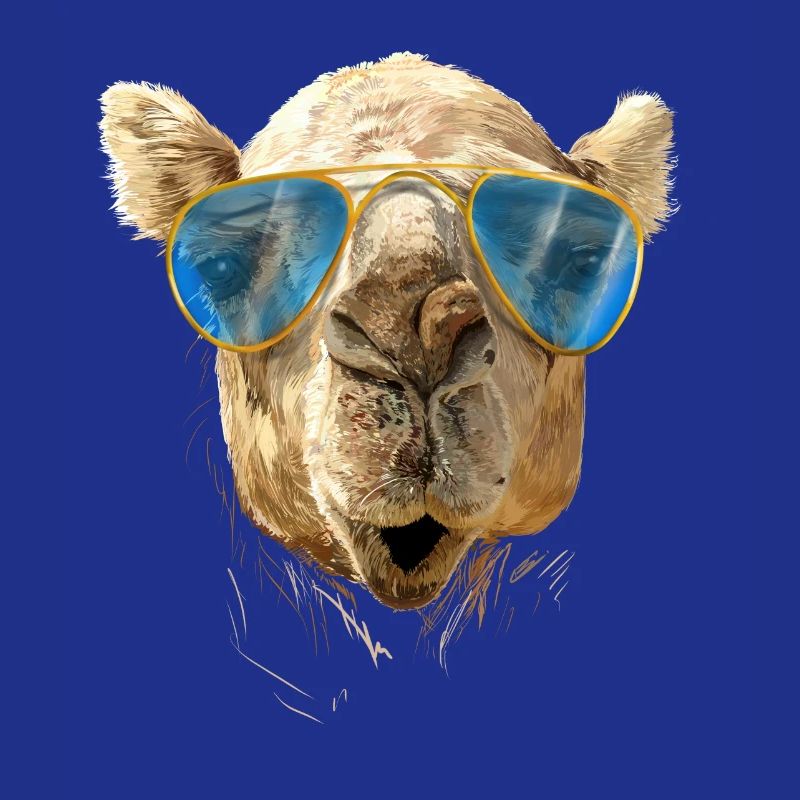 Kamel mit Sonnenbrille
