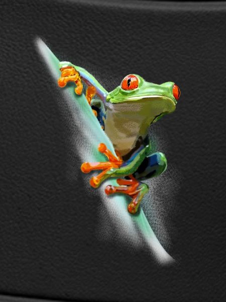 Frosch