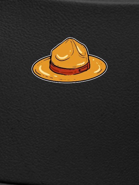 Boy scout hat