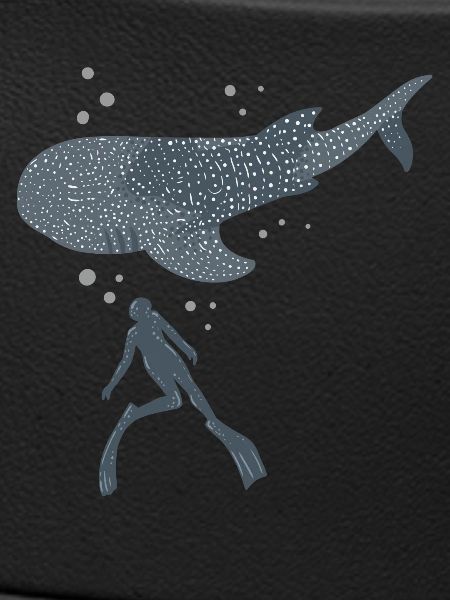 Whale Shark Freediver