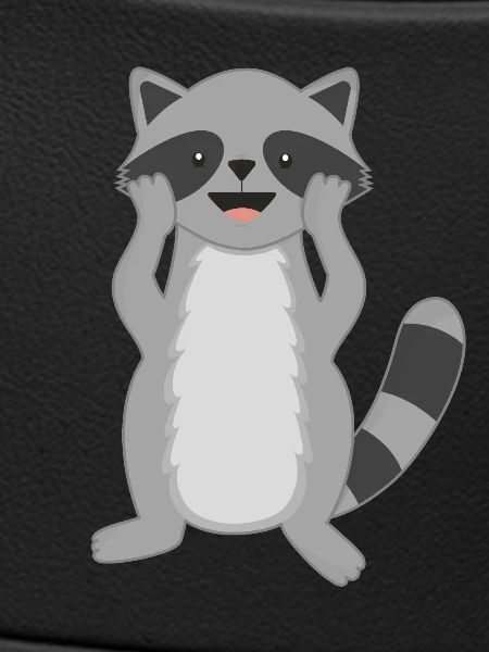 Waschbär Waschbären