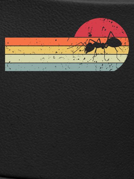 Ant