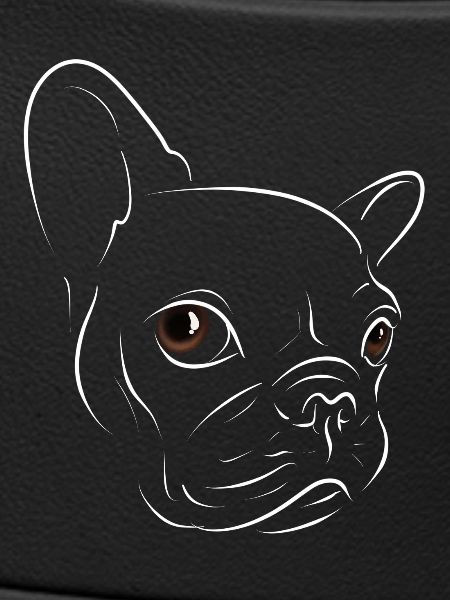 Chiot