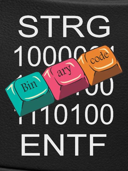 Nerd de l’informatique