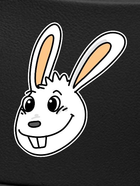 Rabbit Head Animal Head