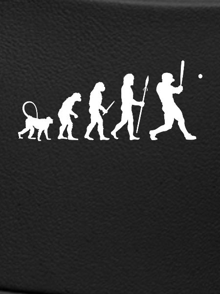 Evolution des Baseball