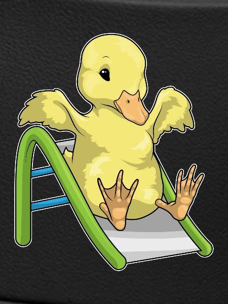 Duck Slide