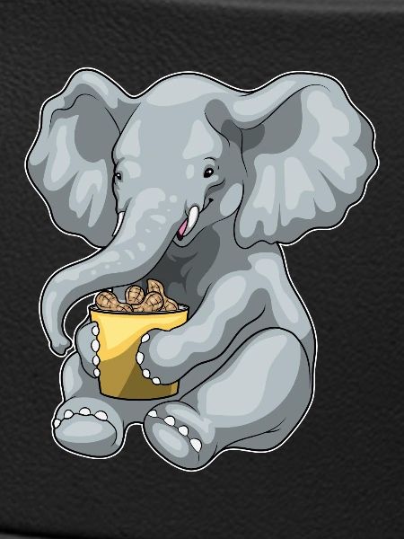 Elephant Peanuts