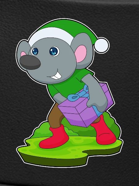 Mouse Christmas Package