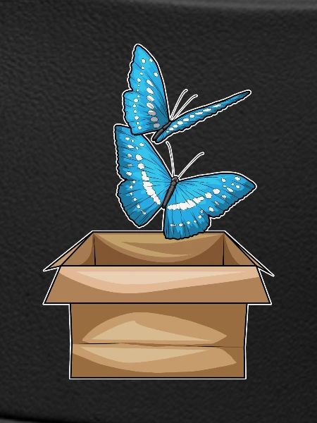 Schmetterling Karton
