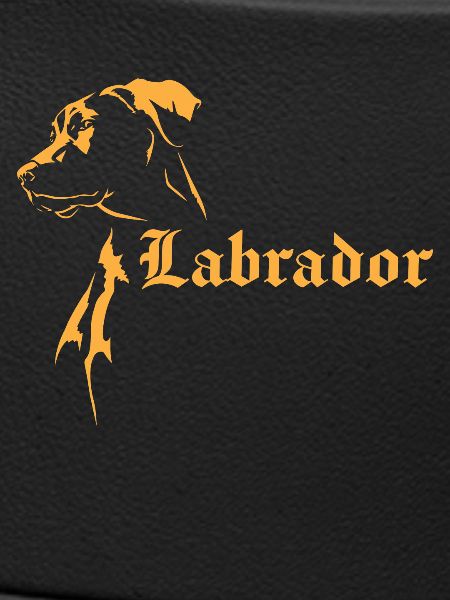 Labrador