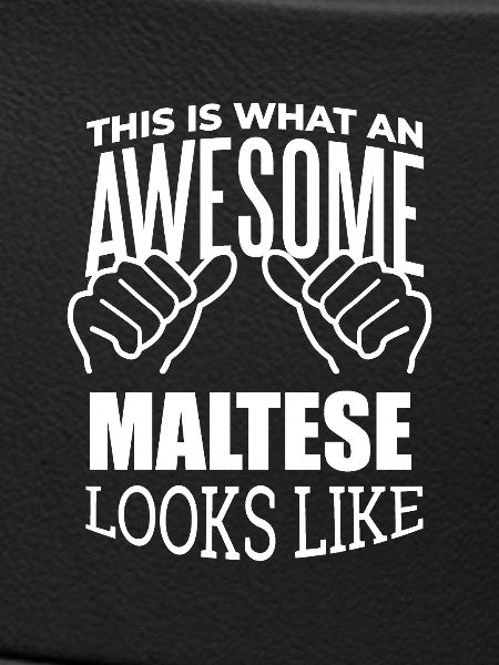 Malta Malta Malta