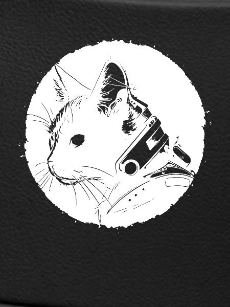 Steampunk Cat