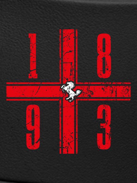Stuttgart Fanmotiv