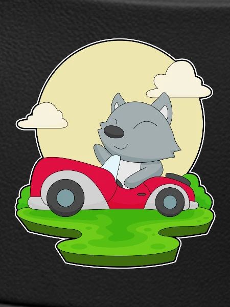 Cat Car
