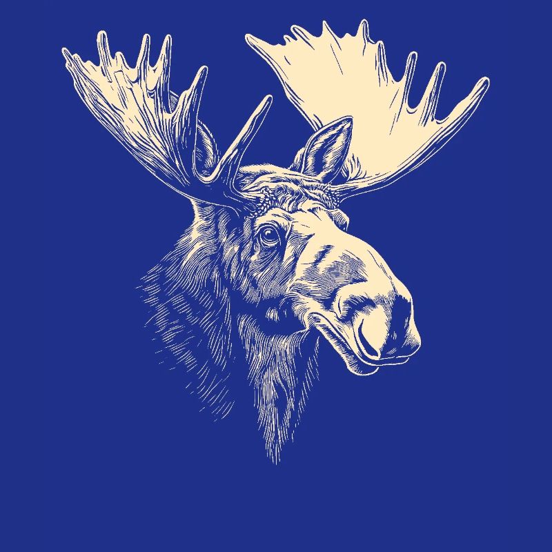 Elch Moose Elchbulle Geweih Hirsch Wilde Elche