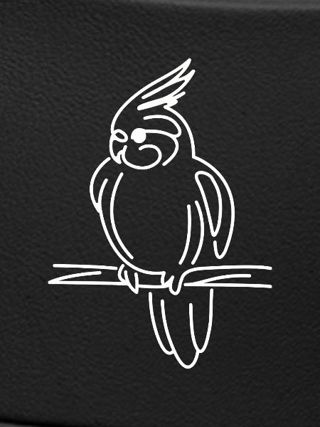 Cockatiel