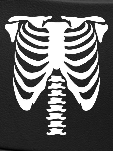 Skeleton Torso