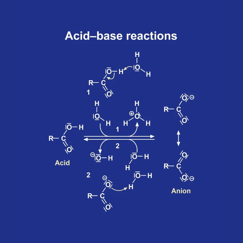 Réactions Acide Base Illustrées