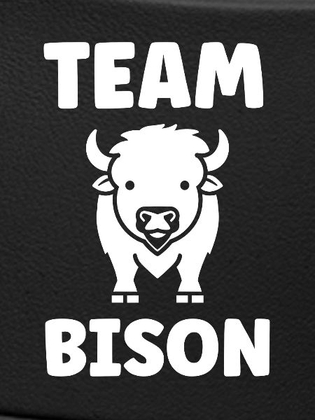 Bison