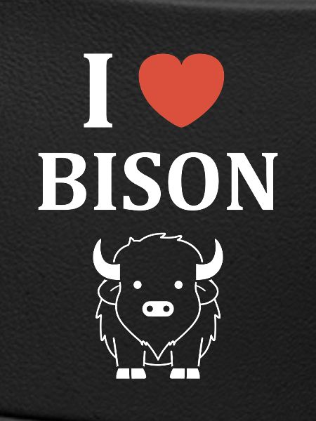 Bison