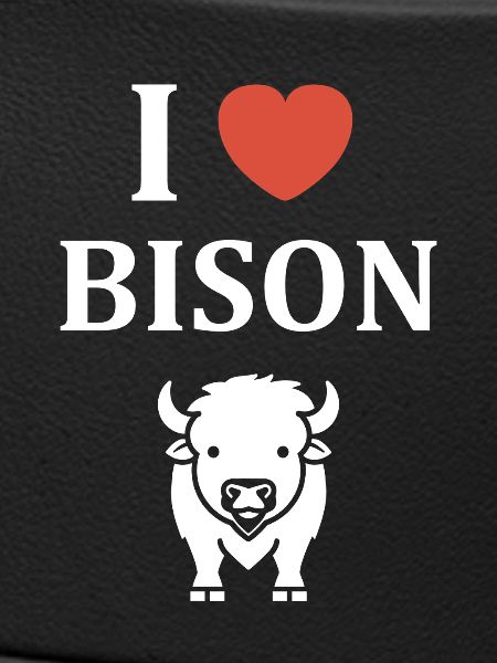 Bison