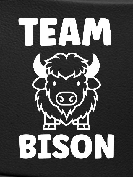Bison