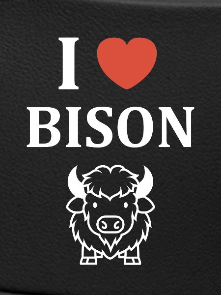Bison