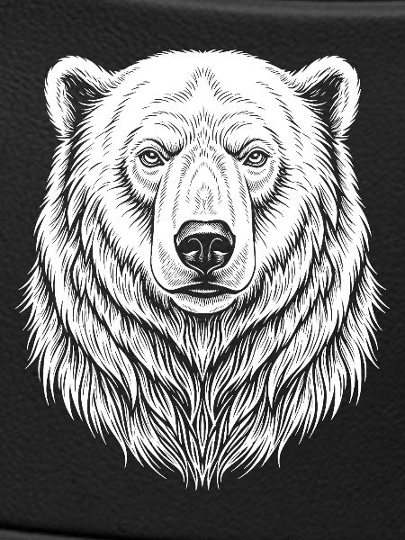 Bear Line Drawing