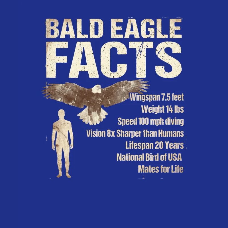 Bald Eagle Facts Bald Eagle Info