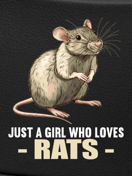 Ratten Ratte