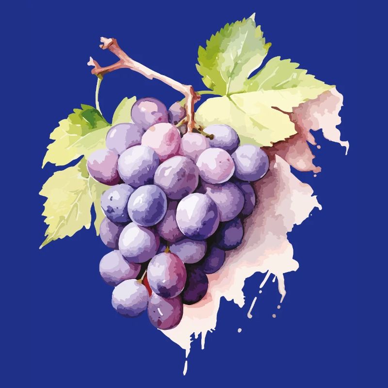 Grappe d’aquarelle de raisins