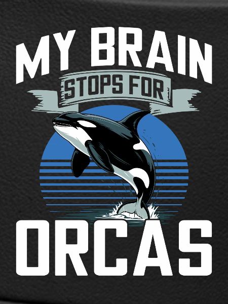 Orca drôle
