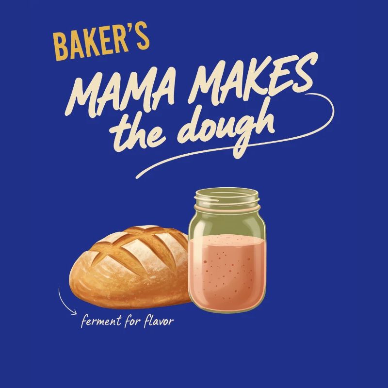 sourdough Bread Baking Baker Mama Makes The Dough