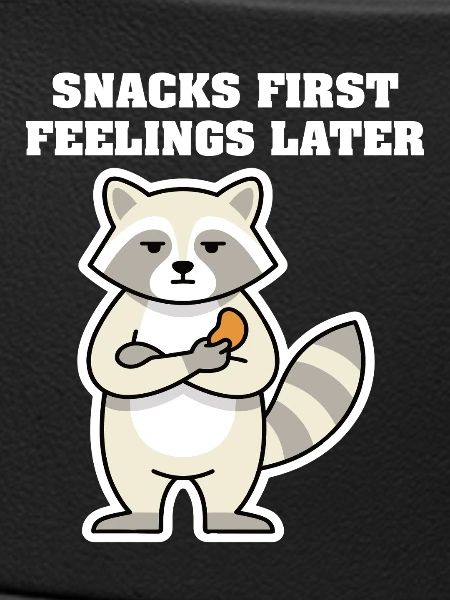 SNACKS FIRST FEELINGS LATER Waschbär