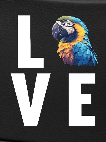 Macaw's Era