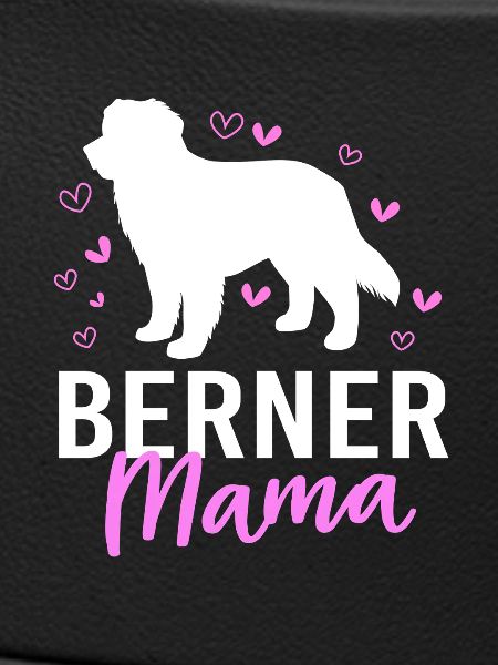 Berner Sennenhund