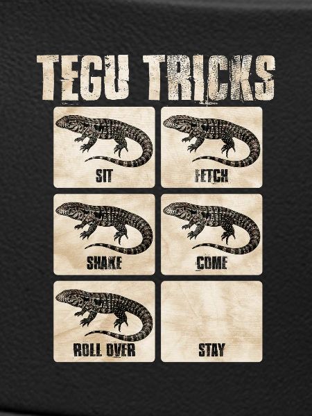 Tegu Tricks Reptilentricks Karten
